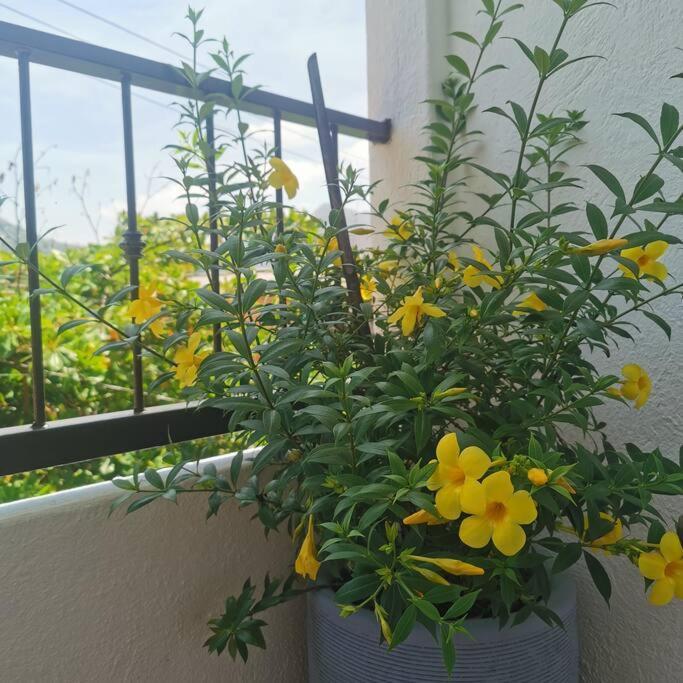 1 Bedroom Apt With Ac , Tv , Wi-Fi Near Dt And Beach Zihuatanejo Buitenkant foto